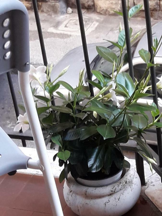 Happy Holidays Welcome Τεργέστη Εξωτερικό φωτογραφία